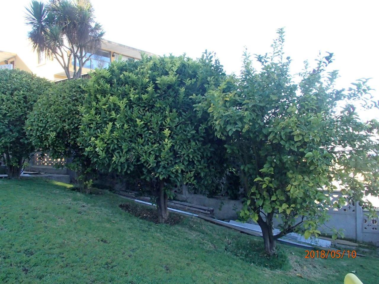 Hotel Camino Del Alto Vina del Mar Exterior photo